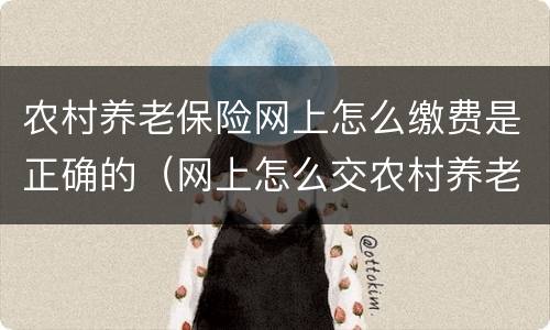 农村养老保险网上怎么缴费是正确的（网上怎么交农村养老保险缴费）