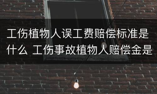 工伤植物人误工费赔偿标准是什么 工伤事故植物人赔偿金是多少钱?