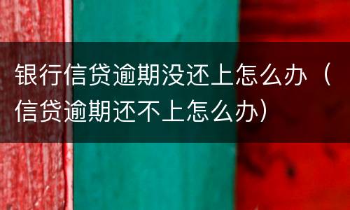银行信贷逾期没还上怎么办（信贷逾期还不上怎么办）