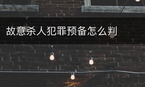 故意杀人犯罪预备怎么判