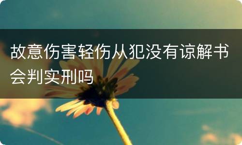 故意伤害轻伤从犯没有谅解书会判实刑吗