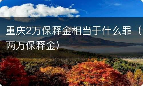 重庆2万保释金相当于什么罪（两万保释金）