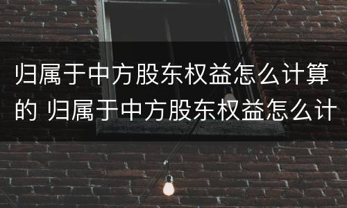 归属于中方股东权益怎么计算的 归属于中方股东权益怎么计算的呢
