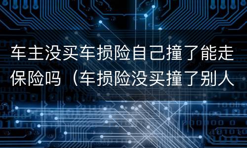 车主没买车损险自己撞了能走保险吗（车损险没买撞了别人的车保险赔吗）