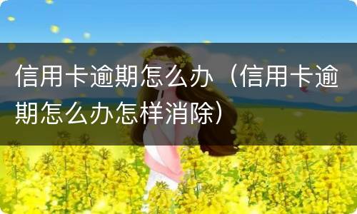信用卡逾期怎么办（信用卡逾期怎么办怎样消除）