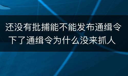 还没有批捕能不能发布通缉令 下了通缉令为什么没来抓人
