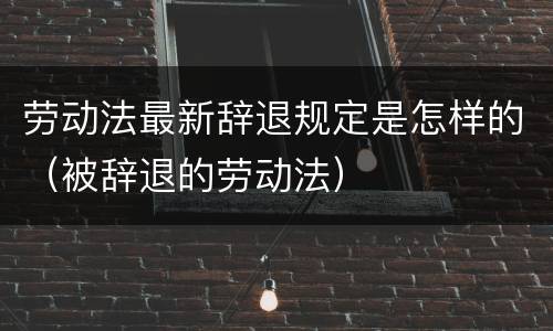 劳动法最新辞退规定是怎样的（被辞退的劳动法）