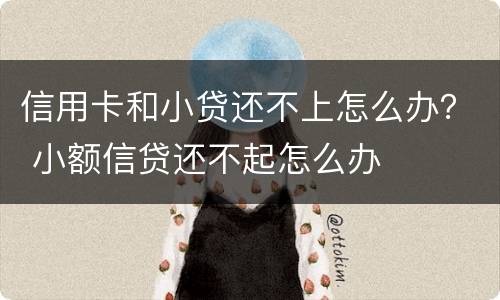 信用卡和小贷还不上怎么办？ 小额信贷还不起怎么办