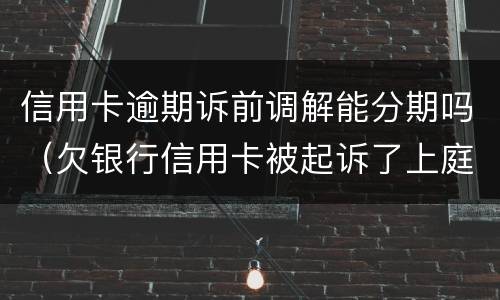 信用卡逾期诉前调解能分期吗（欠银行信用卡被起诉了上庭可以要求分期吗）