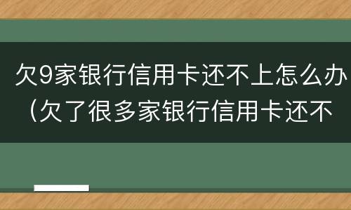 欠9家银行信用卡还不上怎么办（欠了很多家银行信用卡还不上怎么办）