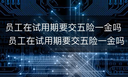 员工在试用期要交五险一金吗 员工在试用期要交五险一金吗合法吗