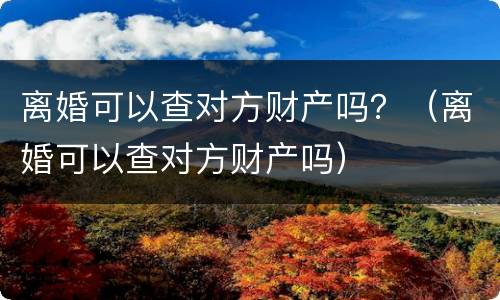离婚可以查对方财产吗？（离婚可以查对方财产吗）