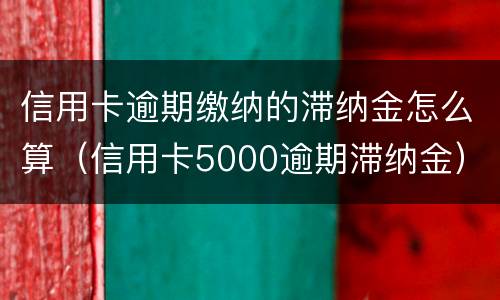 信用卡逾期缴纳的滞纳金怎么算（信用卡5000逾期滞纳金）