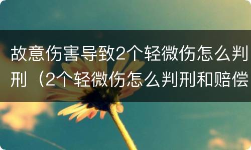 故意伤害导致2个轻微伤怎么判刑（2个轻微伤怎么判刑和赔偿）