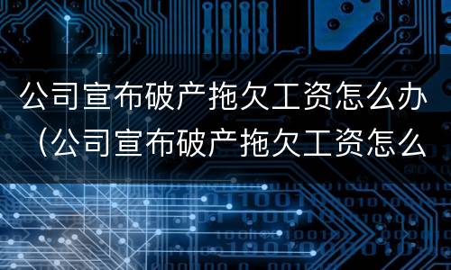 公司宣布破产拖欠工资怎么办（公司宣布破产拖欠工资怎么办?）