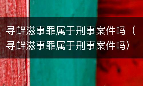 寻衅滋事罪属于刑事案件吗（寻衅滋事罪属于刑事案件吗）