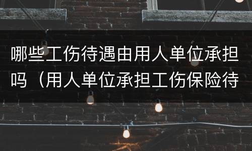 哪些工伤待遇由用人单位承担吗（用人单位承担工伤保险待遇）