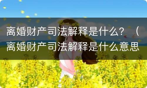 离婚财产司法解释是什么？（离婚财产司法解释是什么意思）