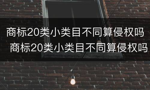 商标20类小类目不同算侵权吗 商标20类小类目不同算侵权吗知乎