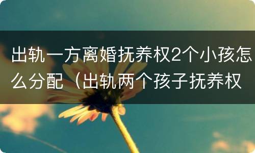 出轨一方离婚抚养权2个小孩怎么分配（出轨两个孩子抚养权怎么判）