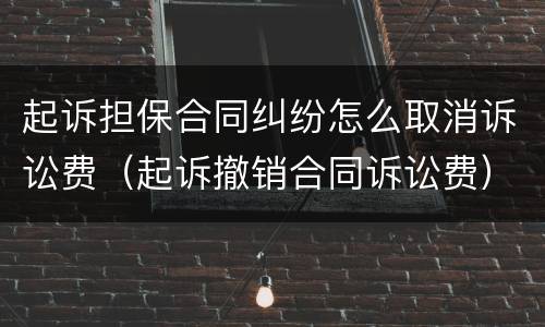 起诉担保合同纠纷怎么取消诉讼费（起诉撤销合同诉讼费）