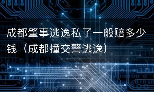 成都肇事逃逸私了一般赔多少钱（成都撞交警逃逸）