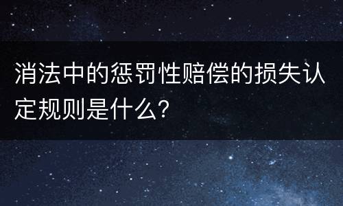 消法中的惩罚性赔偿的损失认定规则是什么？
