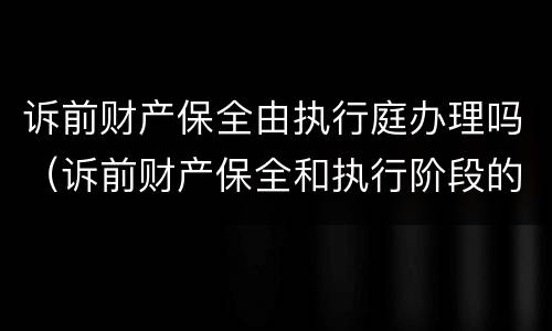 诉前财产保全由执行庭办理吗（诉前财产保全和执行阶段的执行）