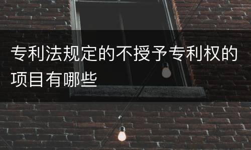专利法规定的不授予专利权的项目有哪些