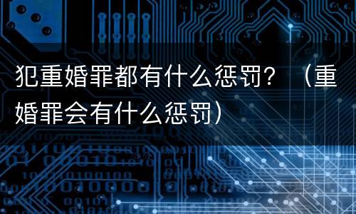 犯重婚罪都有什么惩罚？（重婚罪会有什么惩罚）
