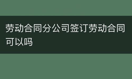 劳动合同分公司签订劳动合同可以吗