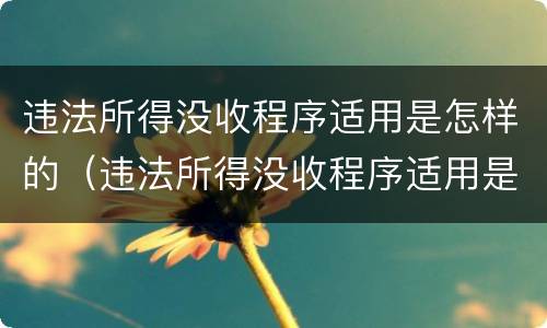 违法所得没收程序适用是怎样的（违法所得没收程序适用是怎样的情形）