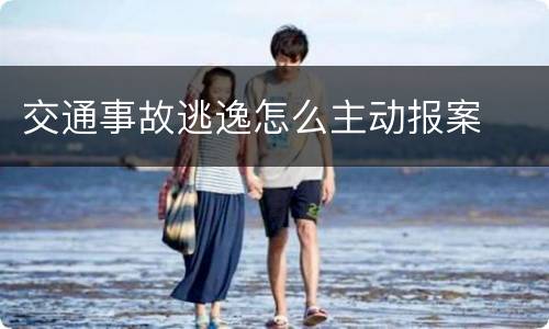 交通事故逃逸怎么主动报案