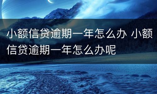 小额信贷逾期一年怎么办 小额信贷逾期一年怎么办呢
