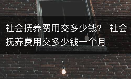 社会抚养费用交多少钱？ 社会抚养费用交多少钱一个月