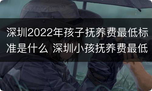 深圳2022年孩子抚养费最低标准是什么 深圳小孩抚养费最低标准2020