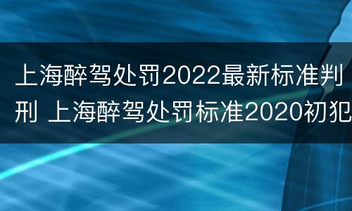 上海醉驾处罚2022最新标准判刑 上海醉驾处罚标准2020初犯