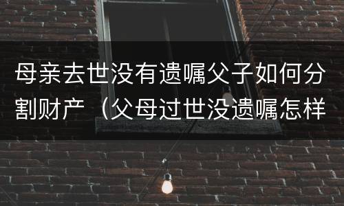 母亲去世没有遗嘱父子如何分割财产（父母过世没遗嘱怎样继承）