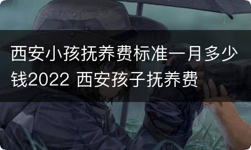 西安小孩抚养费标准一月多少钱2022 西安孩子抚养费