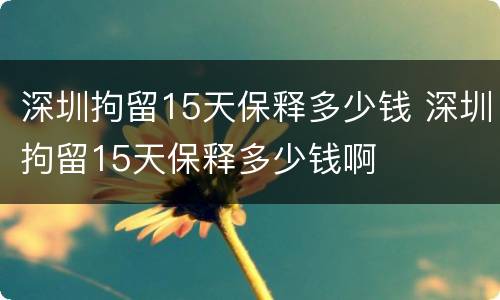 深圳拘留15天保释多少钱 深圳拘留15天保释多少钱啊