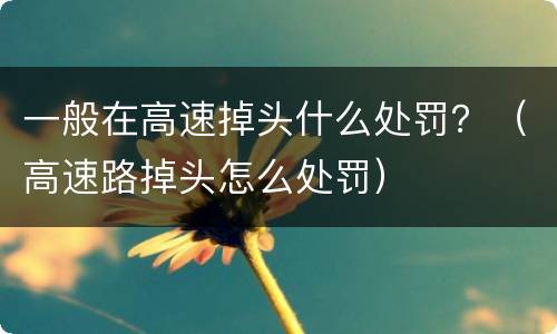 一般在高速掉头什么处罚？（高速路掉头怎么处罚）