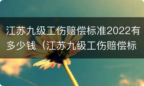 江苏九级工伤赔偿标准2022有多少钱（江苏九级工伤赔偿标准2022有多少钱呢）