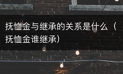 抚恤金与继承的关系是什么（抚恤金谁继承）