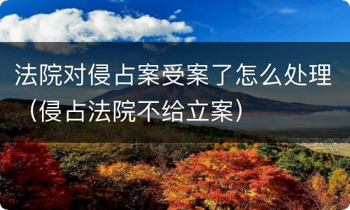 法院对侵占案受案了怎么处理（侵占法院不给立案）