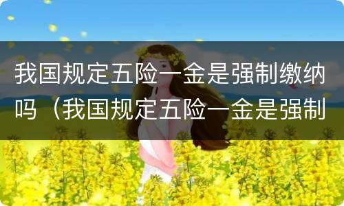 我国规定五险一金是强制缴纳吗（我国规定五险一金是强制缴纳吗）