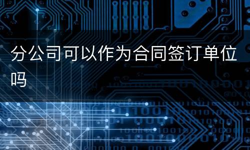 分公司可以作为合同签订单位吗