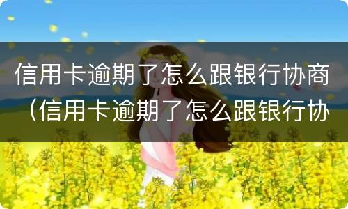 信用卡逾期了怎么跟银行协商（信用卡逾期了怎么跟银行协商解决）