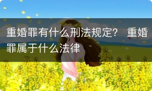 重婚罪有什么刑法规定？ 重婚罪属于什么法律