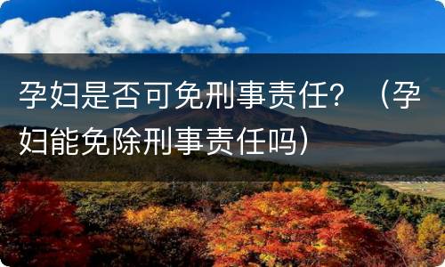 孕妇是否可免刑事责任？（孕妇能免除刑事责任吗）