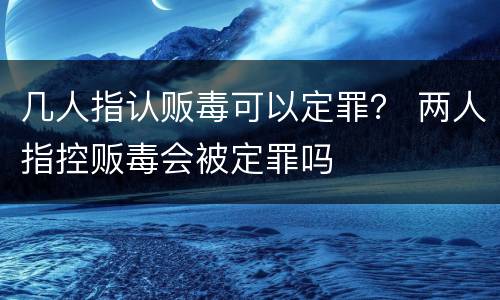 几人指认贩毒可以定罪？ 两人指控贩毒会被定罪吗